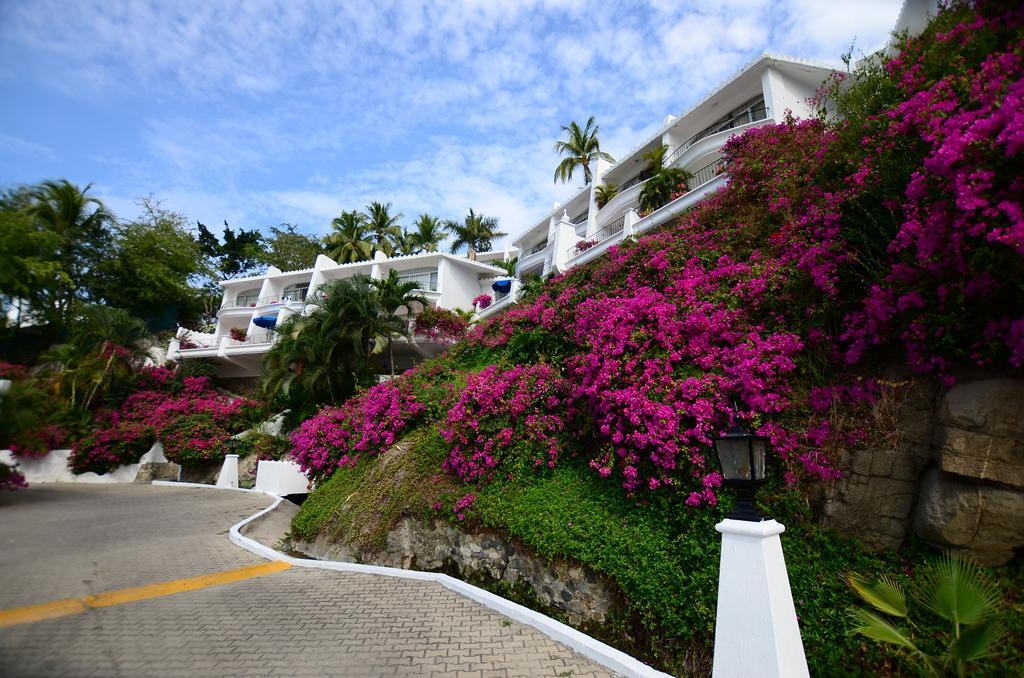 Dolphin Cove Inn Manzanillo Exterior photo